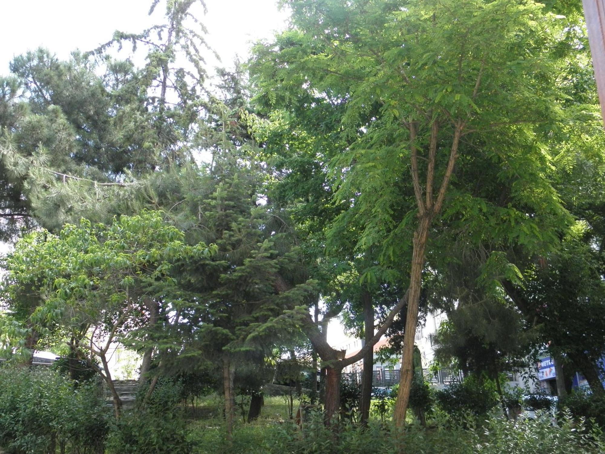 Omar Sultan Park Suites 伊斯坦布尔 外观 照片